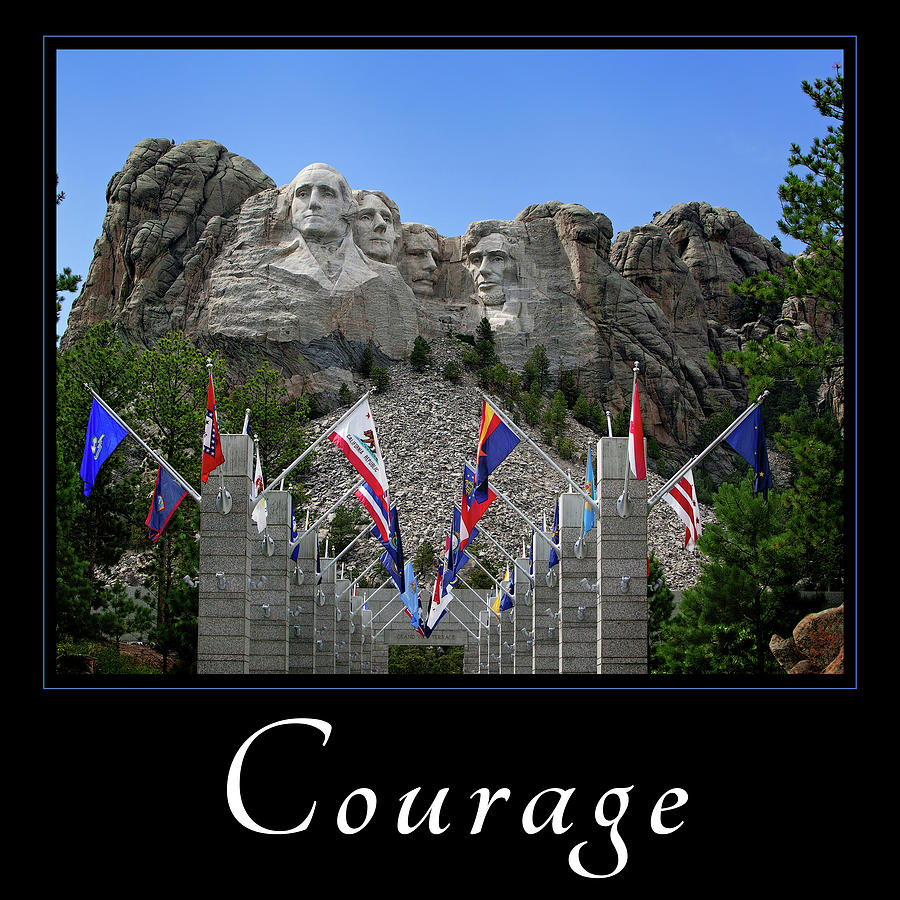 Courage Photograph by Mary Jo Allen