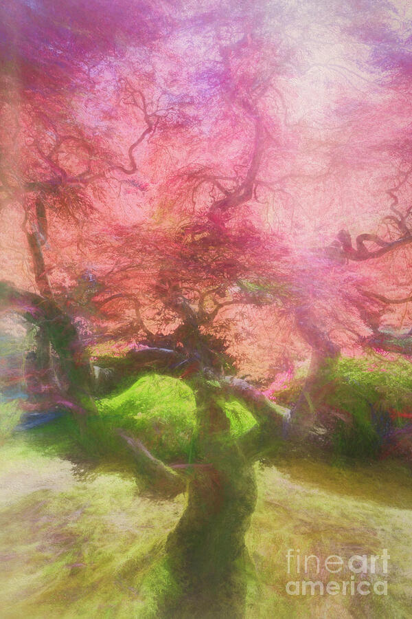 Nature Digital Art - Courage Tree by Jean OKeeffe Macro Abundance Art
