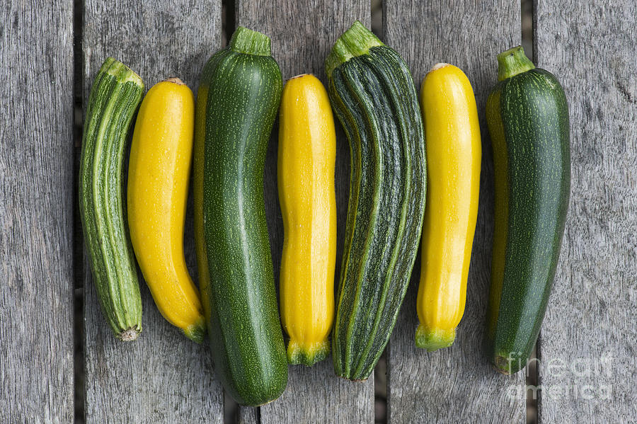 Courgette Harvest Photograph by Tim Gainey
