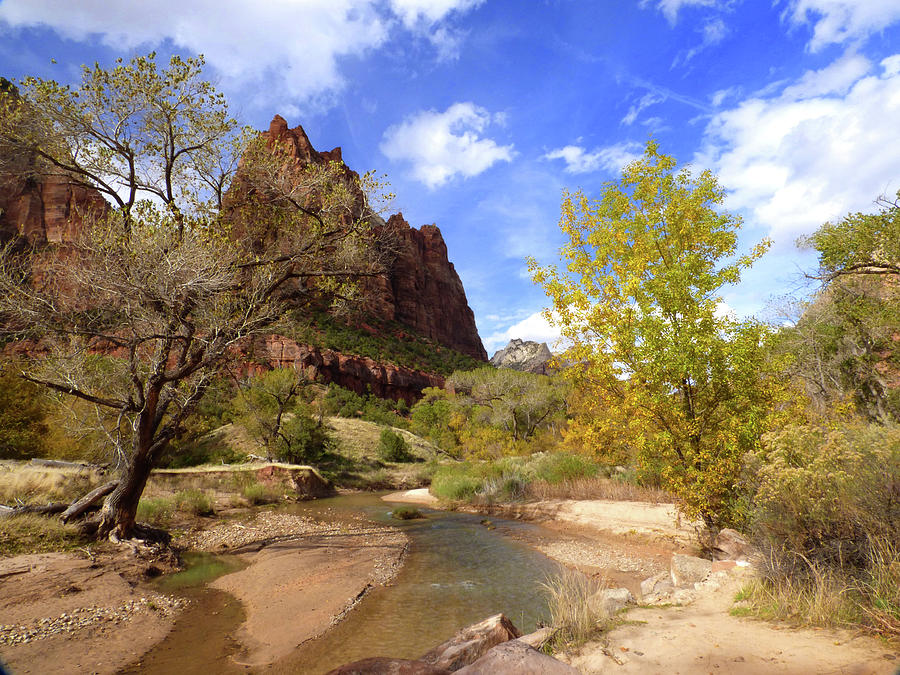 Court of the Patriarchs and Virgin River Photograph by Marcia Socolik