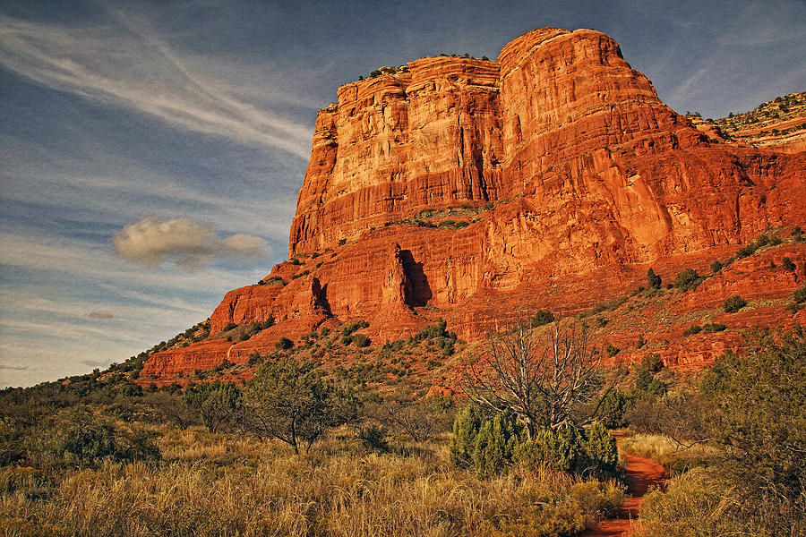 Courthouse Butte Txt Photograph by Theo OConnor