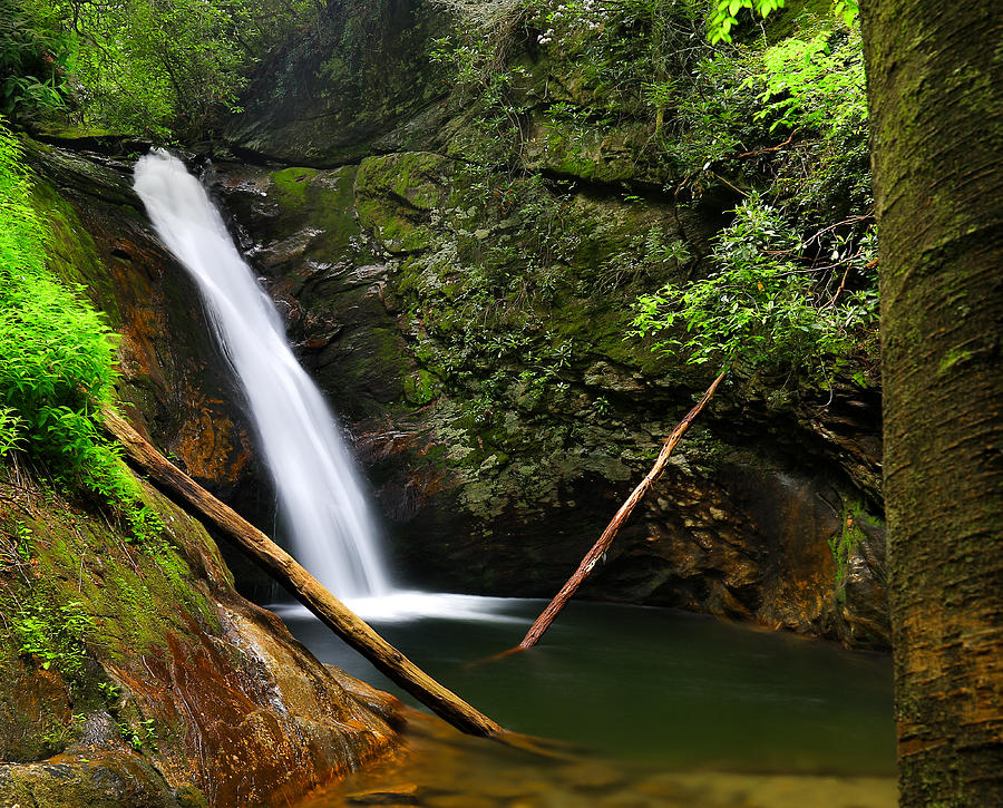 Courthouse Falls in Pisgah National Forest Photograph by Donnie