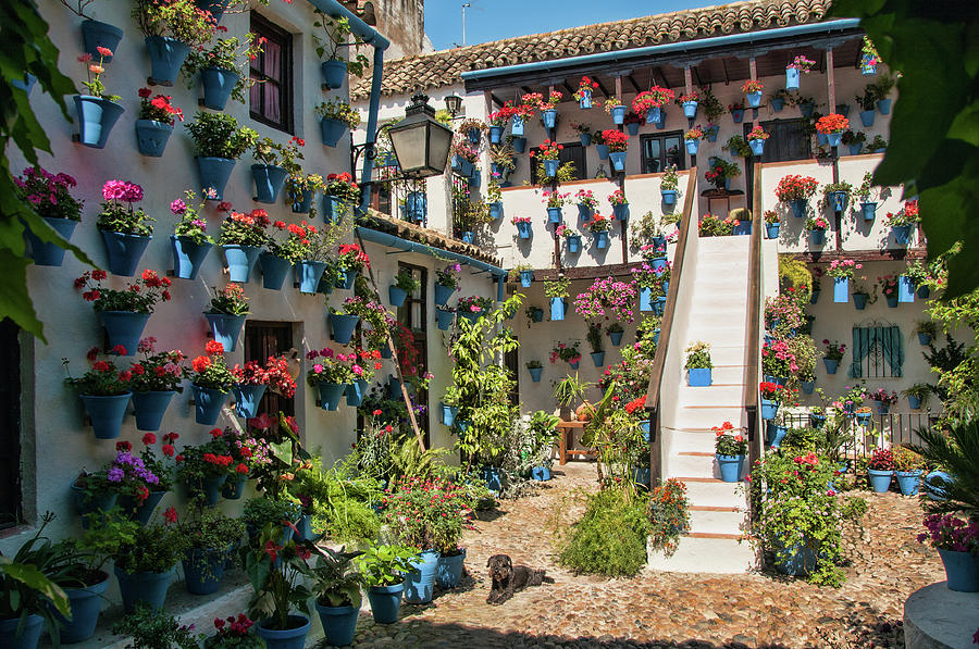 Courtyard Photograph - Courtyard, Blue, Cordoba, Spain by Curt Rush