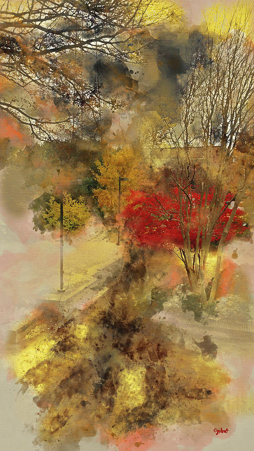 Courtyard Red Maple Tree Digital Art by Paulette B Wright