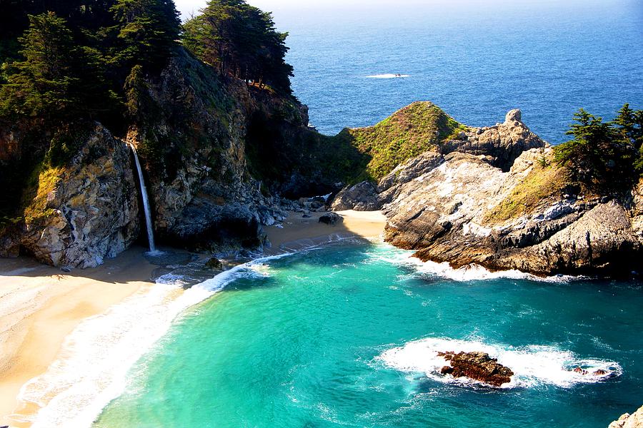 Tree Photograph - Cove and McWay Falls by Michael Courtney