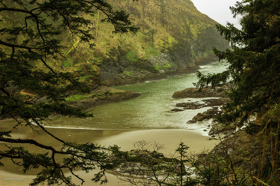 Cove At Cape Disappointment Park Photograph by Aashish Vaidya