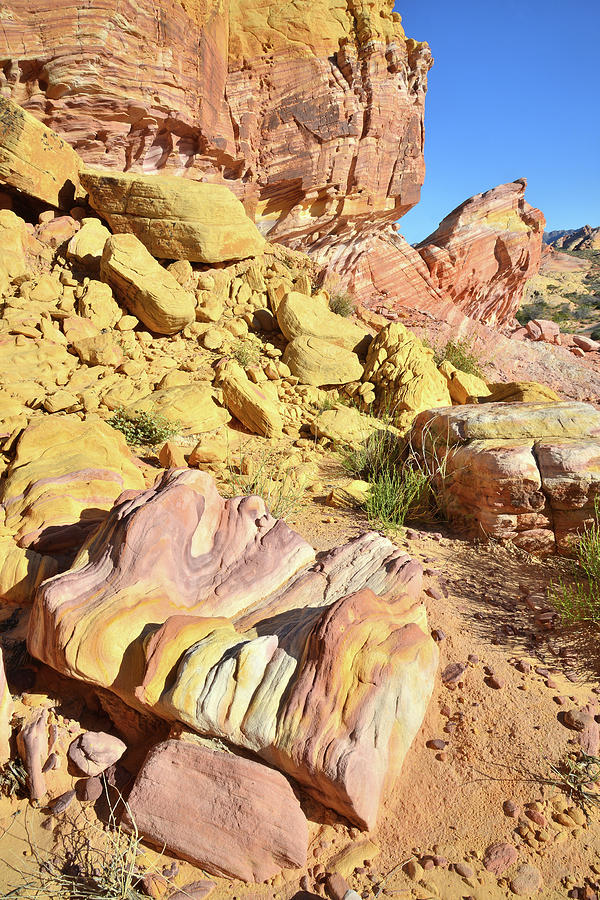 Cove Color in Valley of Fire Photograph by Ray Mathis