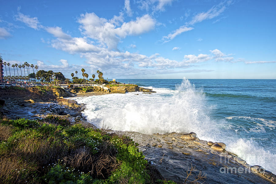 Cove Waves Photograph by Baywest Imaging