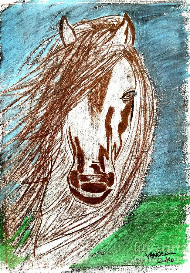 Cover Girl Horse Portrait Drawing by Scott D Van Osdol | Fine Art America