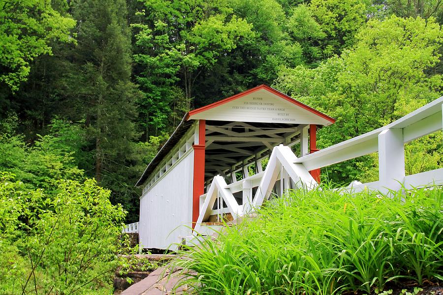 Covered bridge 2 Photograph by Karl Rose