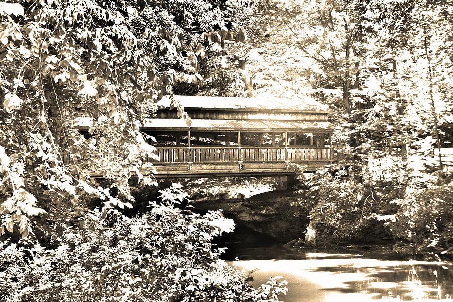 Covered Bridge At Lantermans Mill Black And White Photograph by Lisa Wooten