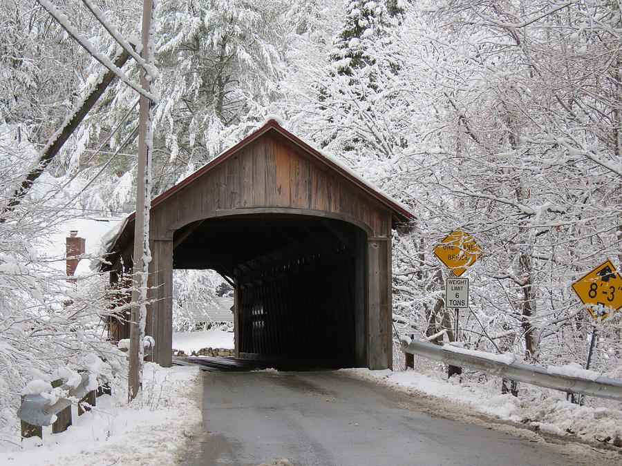 Covered Bridge - Coombs Bridge Photograph by MTBobbins Photography