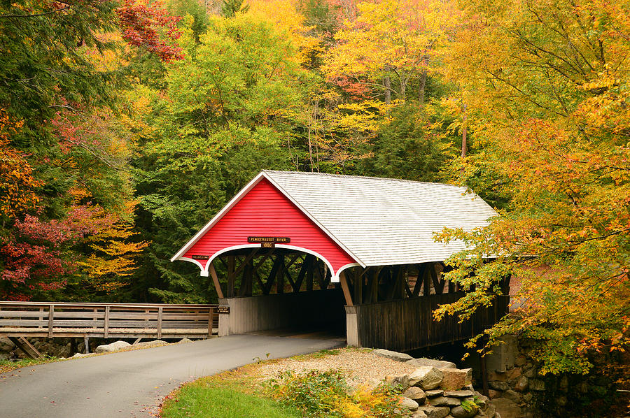 Covered Bridge in Autumn Photograph by James Kirkikis