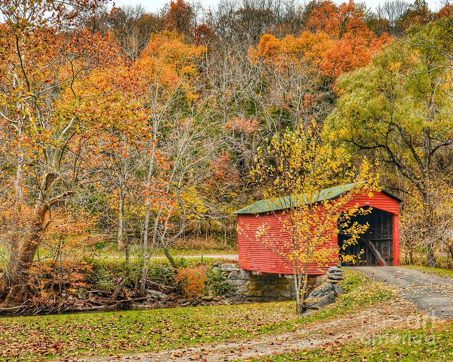 Covered Bridge in Autumn Photograph by Kerri Farley