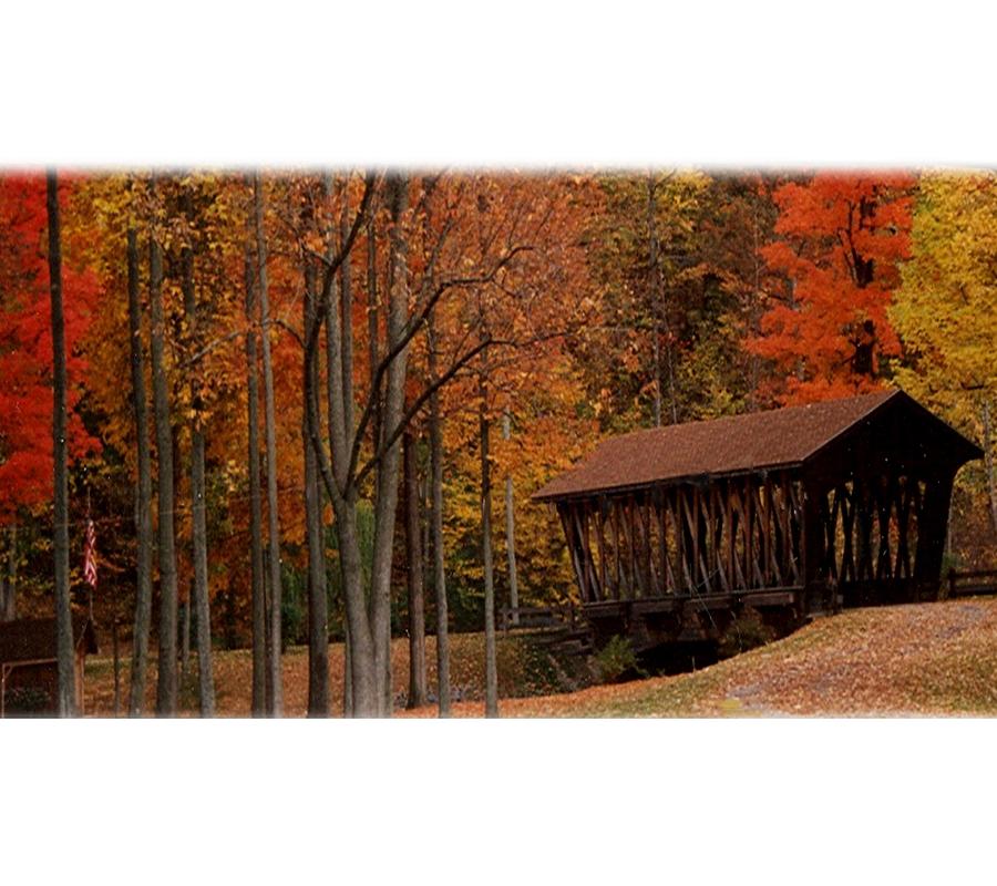 Covered Bridge in Autumn Photograph by Lila Mattison