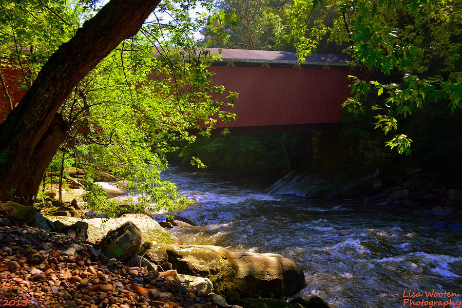 Covered Bridge Photograph by Lisa Wooten