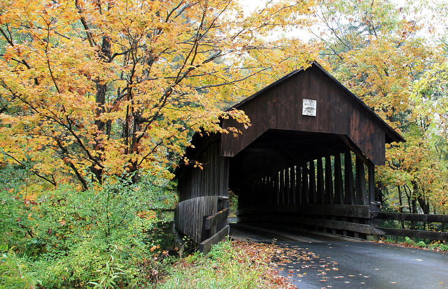 Covered Bridge Number 22 Photograph by George Jones