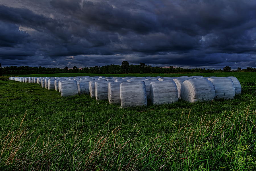 Covered Hay Bales Photograph