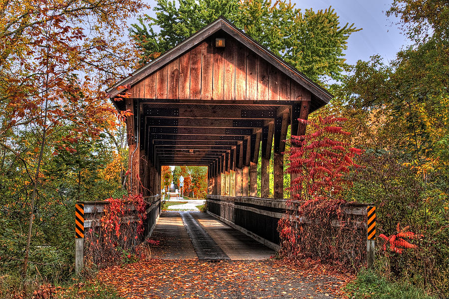 Covered Trail Bridge Photograph by Richard Gregurich