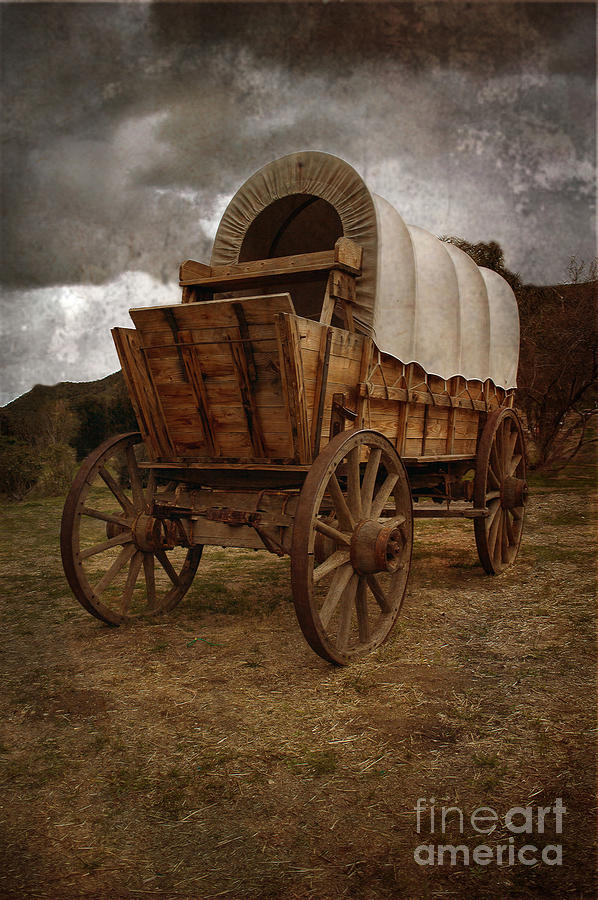 Covered Wagon 1 Photograph by Scott Parker
