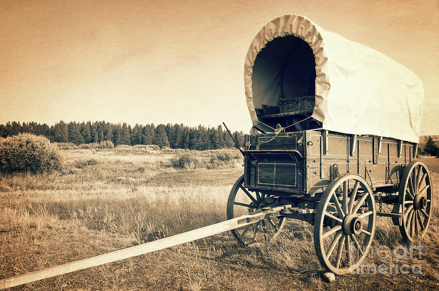 Covered wagon, wild west pioneer Photograph by Delphimages Photo Creations