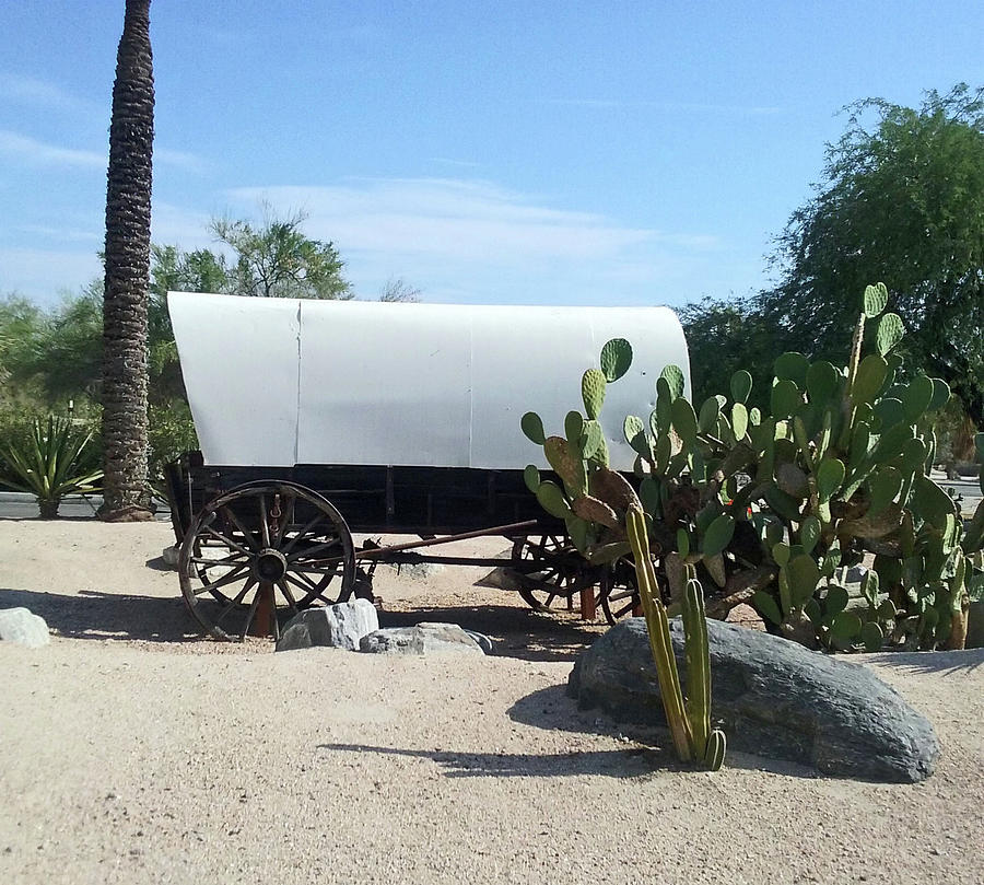 Covered Wagon Photograph by Jay Milo
