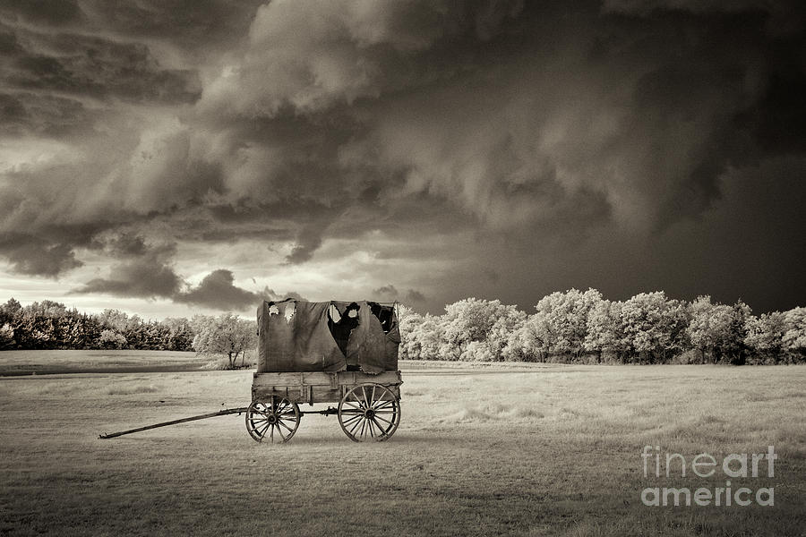 Covered Wagon Photograph