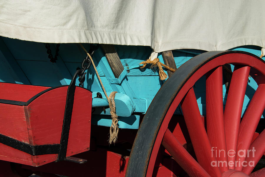 Covered Wagon Wheel and Trunk Photograph by Bob Phillips