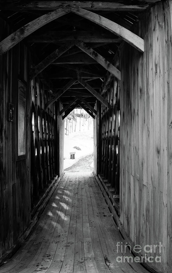 Covered Walking Bridge Photograph by Mim White
