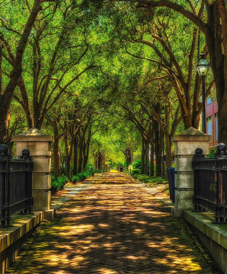 Covered Pathway - Charleston Photograph by Frank J Benz