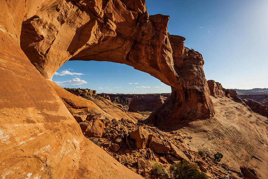 Covert Arch Photograph By Whit Richardson