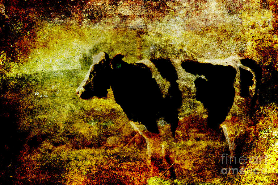 Cow Atop Hill 2 . texture Photograph by Wingsdomain Art and Photography