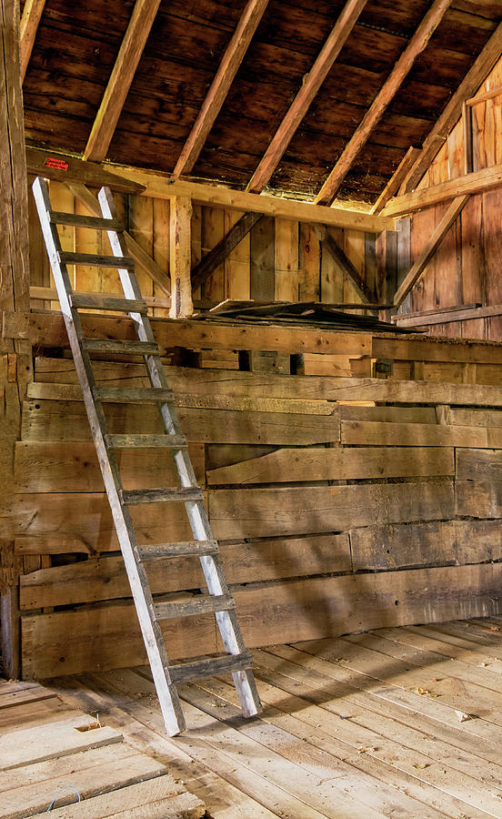 Cow Barn Ladder Photograph by Tom Singleton