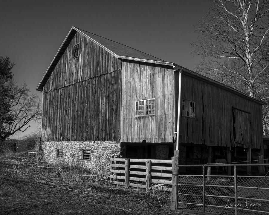 Cow Barn Photograph by Louise Reeves