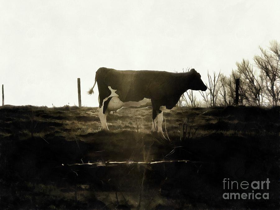 Cow - Black and White - Profile Photograph by Janine Riley
