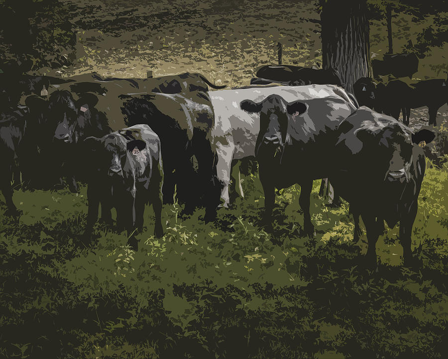 Cow Photograph - Cow Clan by Heather Pugh And Nathan Farra