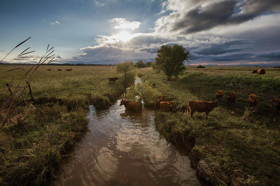 Sunset Photograph - Cow Creek Sunset by Chris Harris