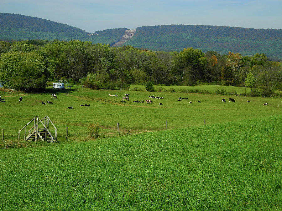 Cow Farm on the AT 2 Photograph by Raymond Salani III