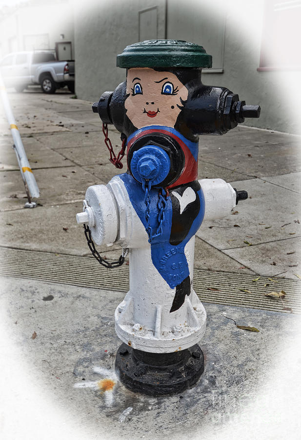 Cow Girl and Steed Hydrant Photograph by Jim Fitzpatrick