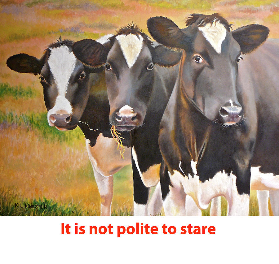 Cow Holstein Trio Painting by K L Kingston