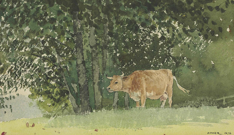 Tree Painting - Cow in Pasture by Winslow Homer