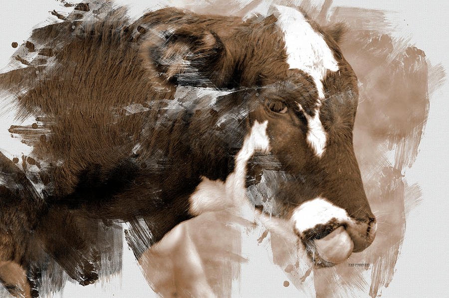 Cow In Sepia Tone Mixed Media by Ken Figurski