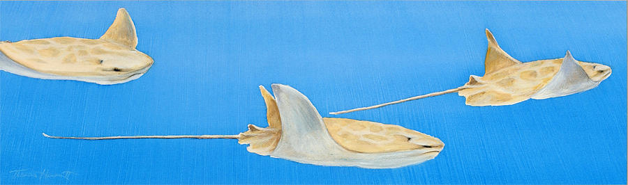 Cow-nosed Rays in Open Water Painting by Thomas Hamm