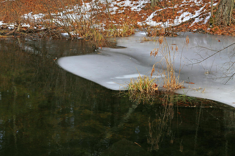 Cow Pond Brook Ice Photograph by Mary Bedy