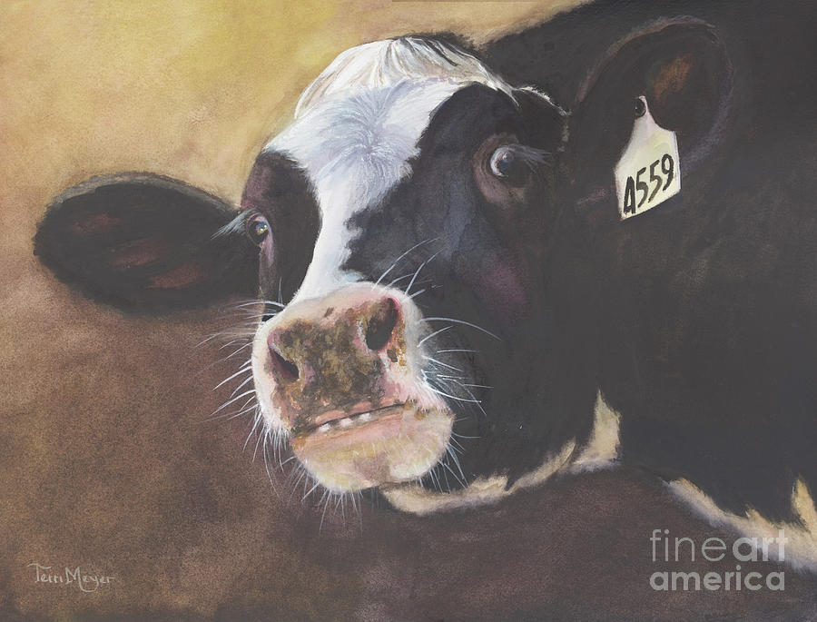 Cow Portrait V - Hey Whats Up? Painting by Terri  Meyer