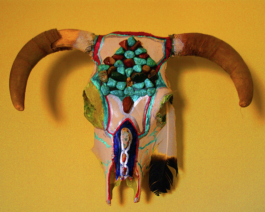 Cow Scull Turquoise Photograph by Jesse Coulson - Fine Art America