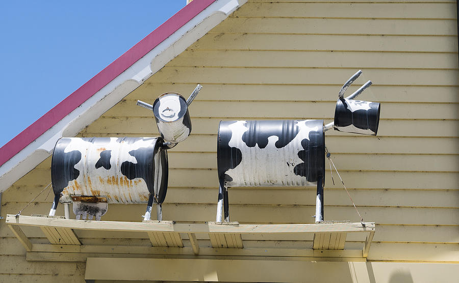 Cow Sculptures Photograph by Steven Ralser