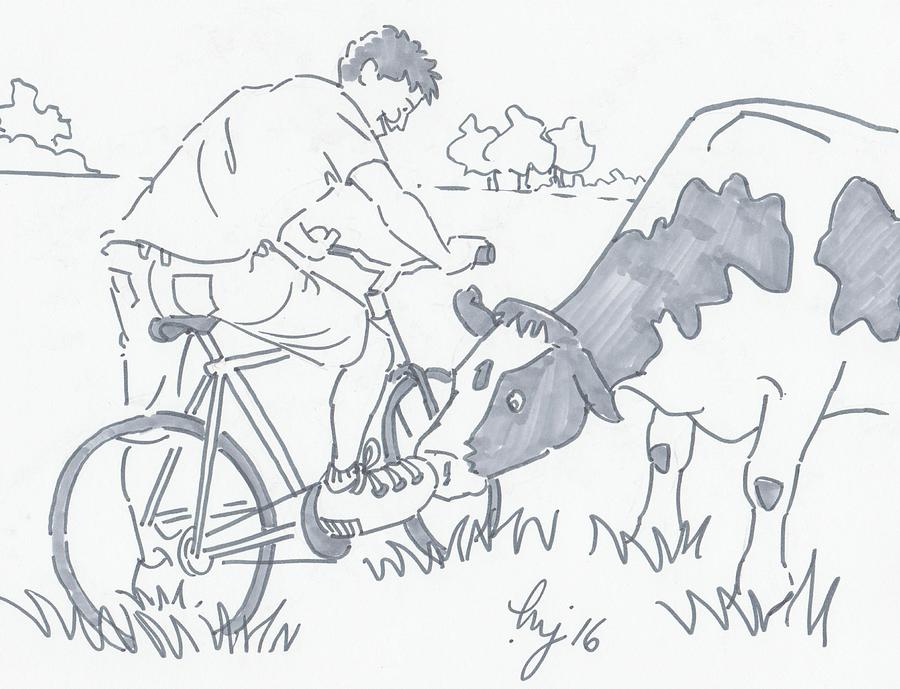 Cow Sniffing A Cyclist Shoe Cartoon Drawing by Mike Jory