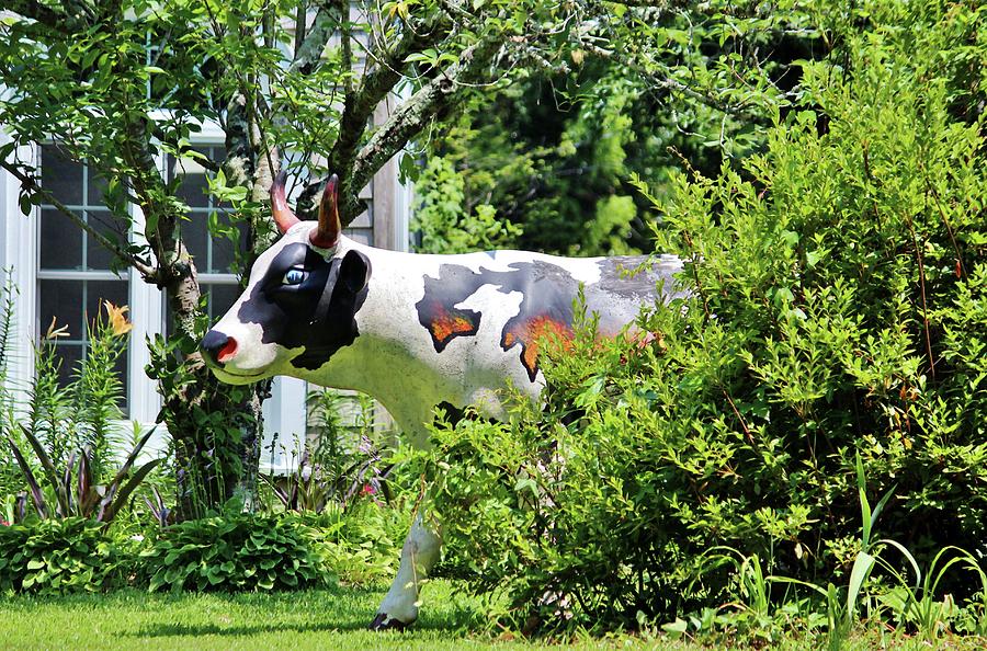 Cow Statue Photograph by Cynthia Guinn