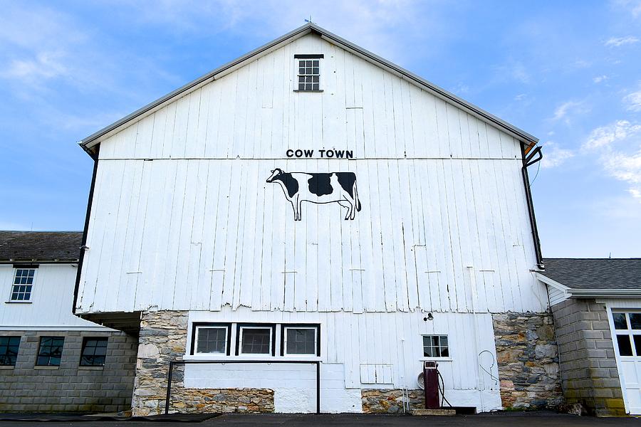 Cow Town Barn Photograph by Tana Reiff
